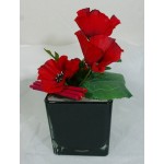 Coquelicots - composition noire grand modèle